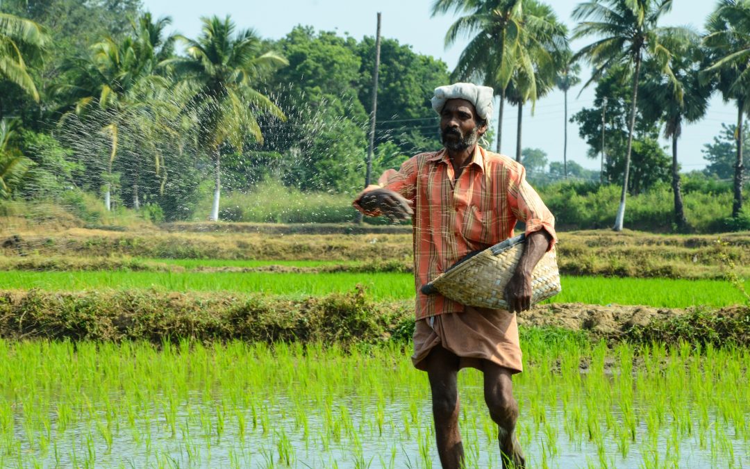 Financing sustainable land use: Unlocking business opportunities in sustainable land use with blended finance